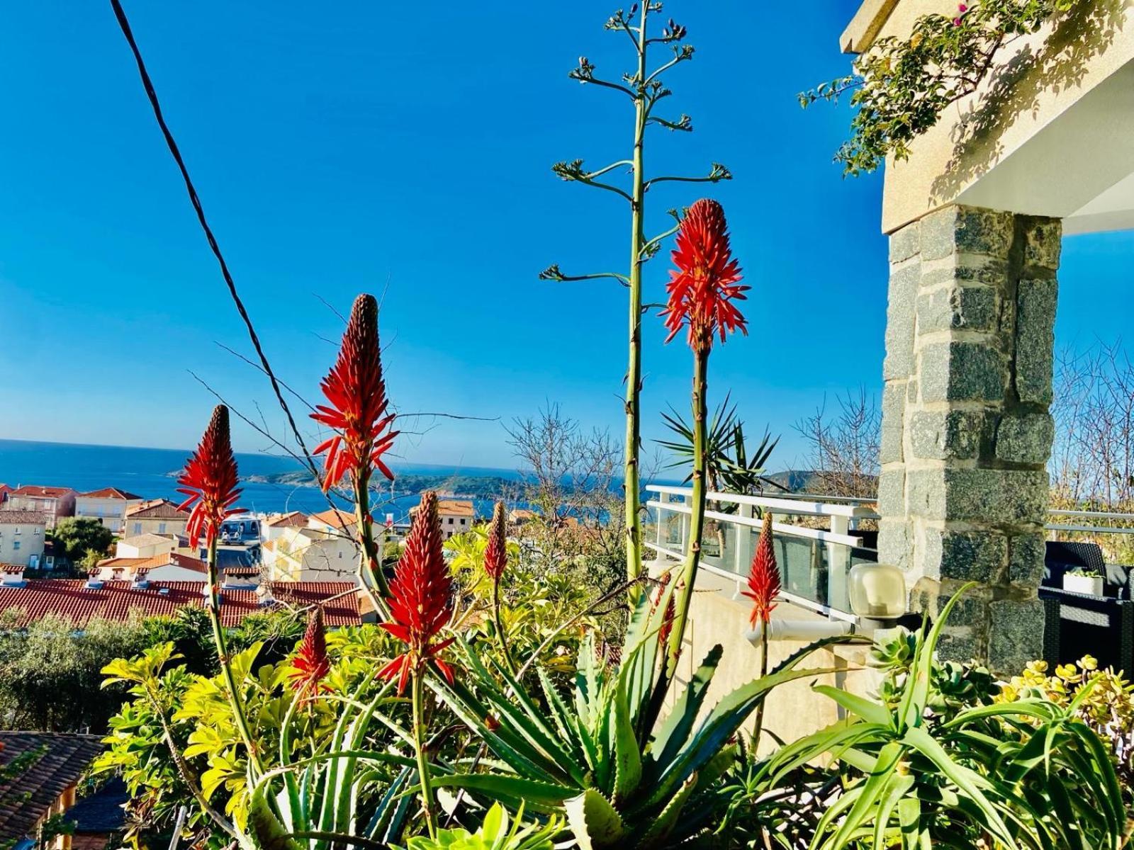 Villa Montalbo Vue Mer De 2 A 10 Personnes Cargèse Екстериор снимка